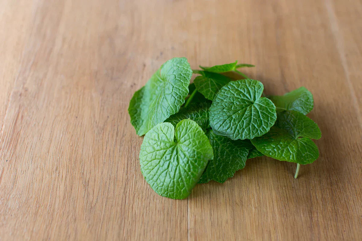 Wasabi Baby Leaf Salad