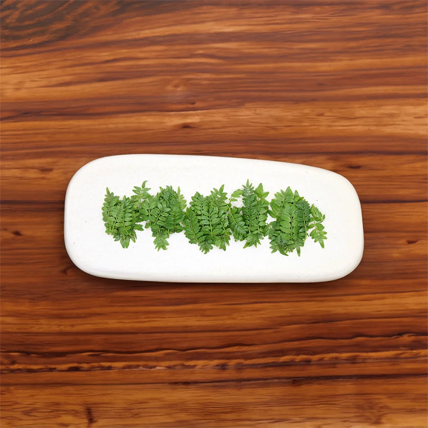 Rectangular white plate with a row of fresh green herbs neatly arranged, placed on a wooden surface.
