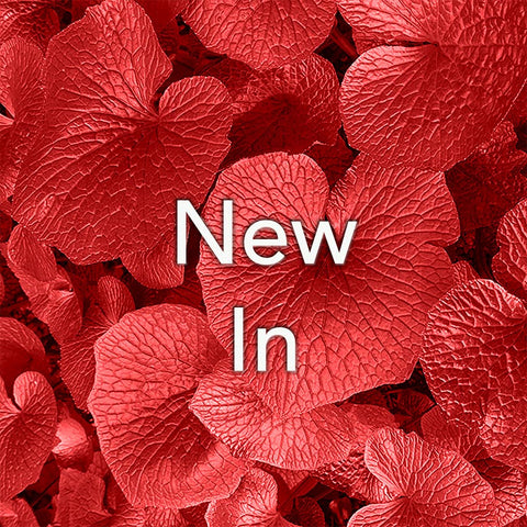 Red leaves background with the words New In in white text centered on the image.