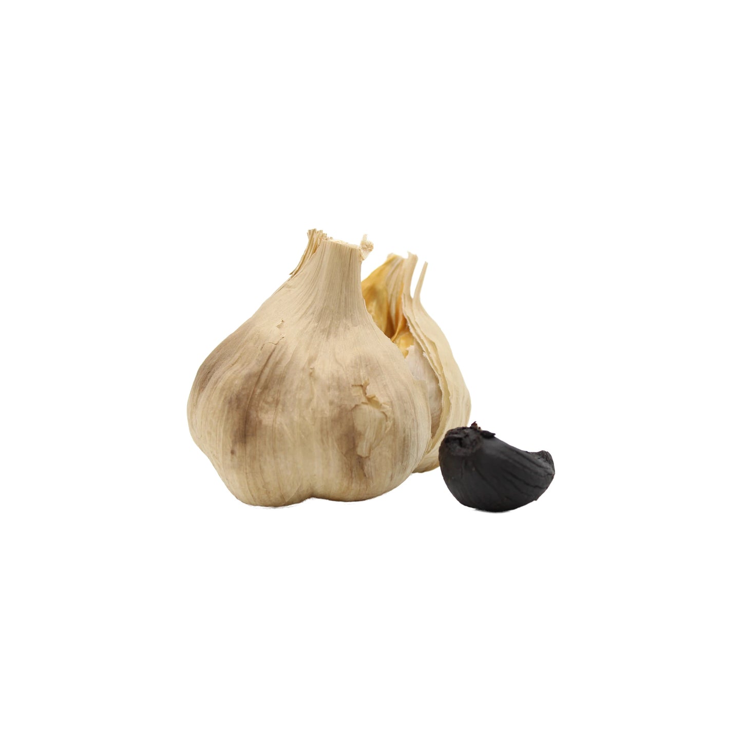 A whole head of Black Garlic From Aomori Or Mie with a single peeled clove, prized for its umami taste and rich antioxidants, is displayed on a plain white background.