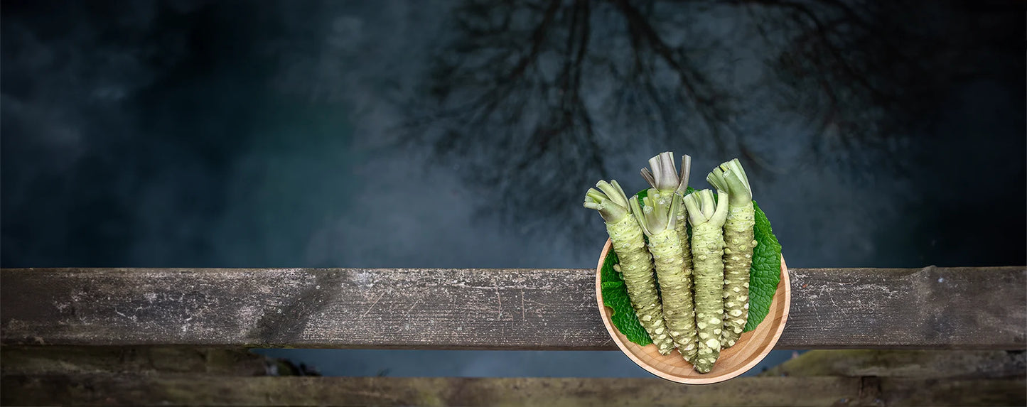 The Wasabi Company