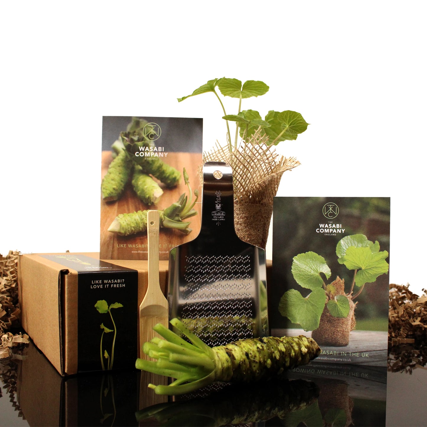 The Fresh Wasabi Pro & Grow Kit features a wasabi rhizome, grater, small brush, live wasabi plant, planting guide, and packaging neatly arranged on a reflective surface.