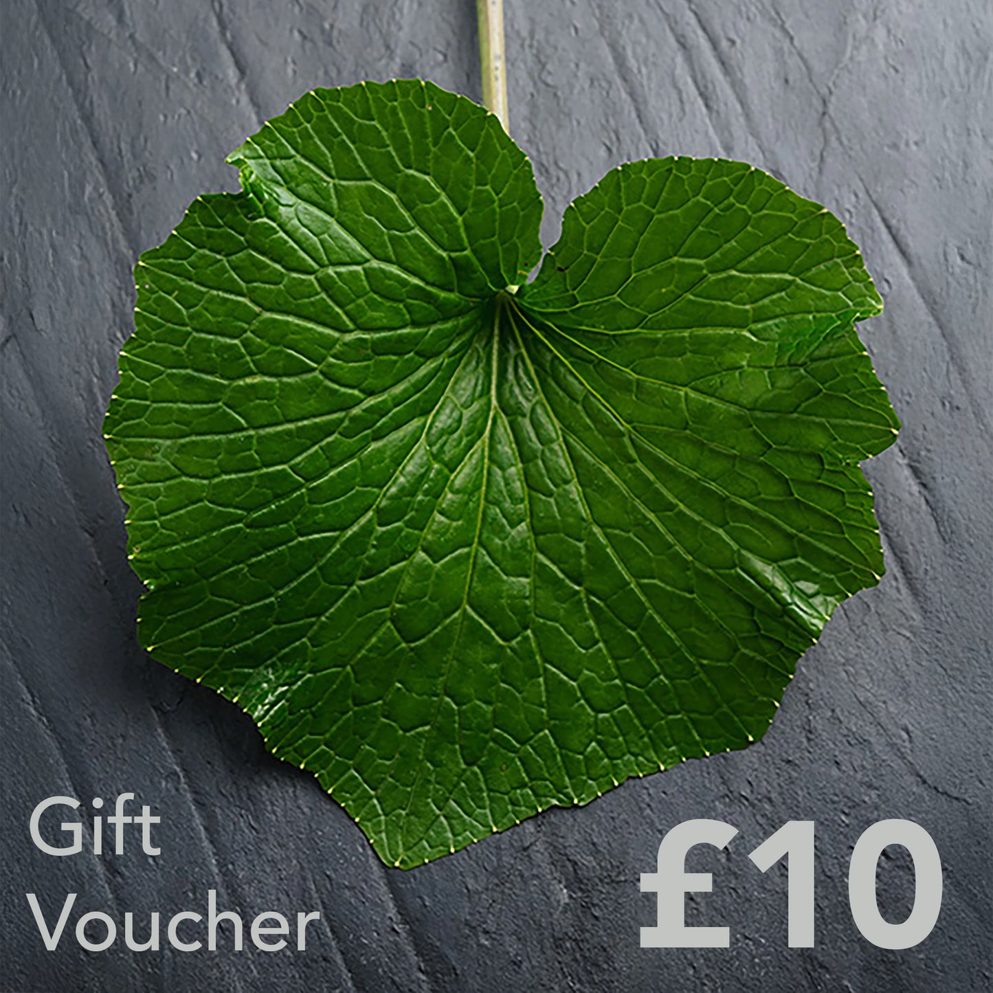 A large green Wasabi leaf rests on a grey background, with The Wasabi Company Gift Card £10 in the corner—an ideal unique present or gift card.