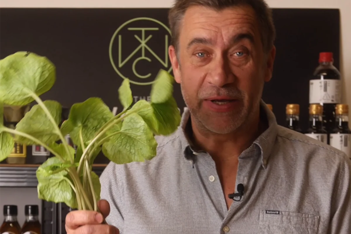 The Wasabi Company