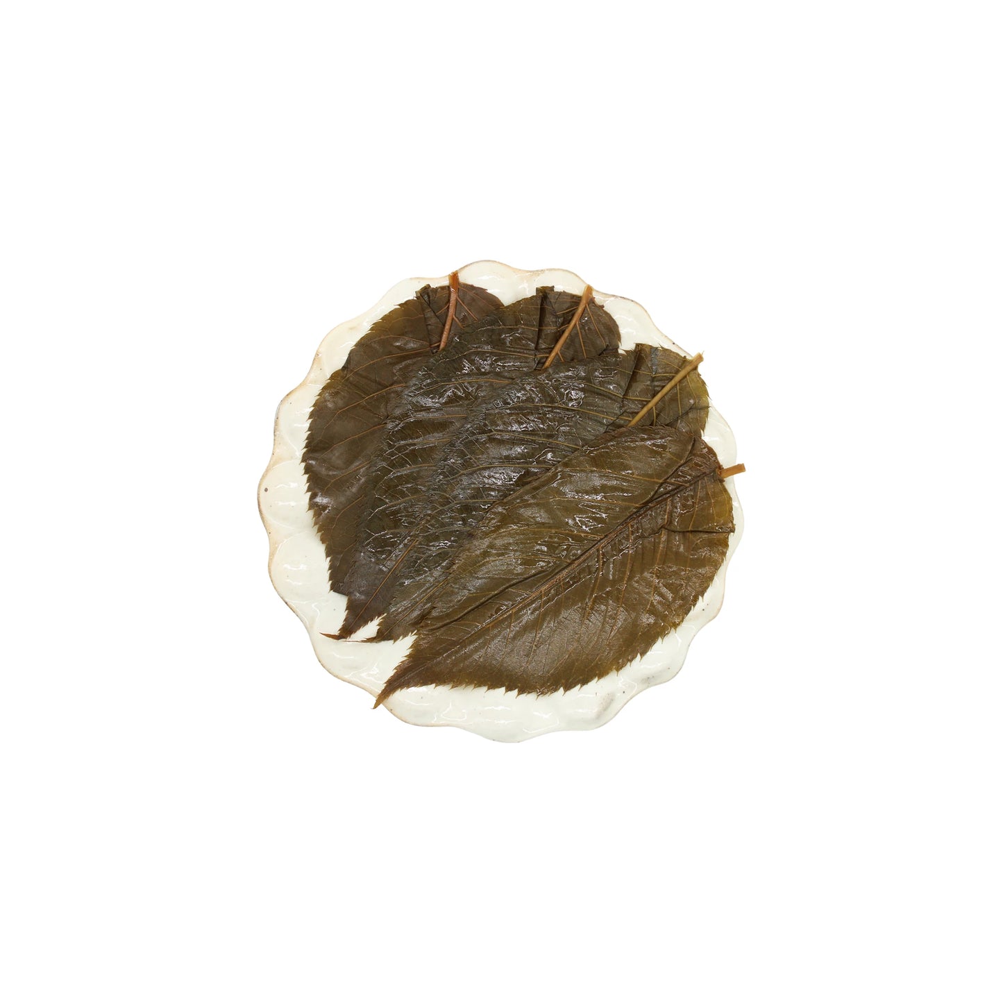A white plate displays several large, dark green Salted Sakura Cherry Leaves - 50 Leaves arranged in an overlapping pattern with visible stems.
