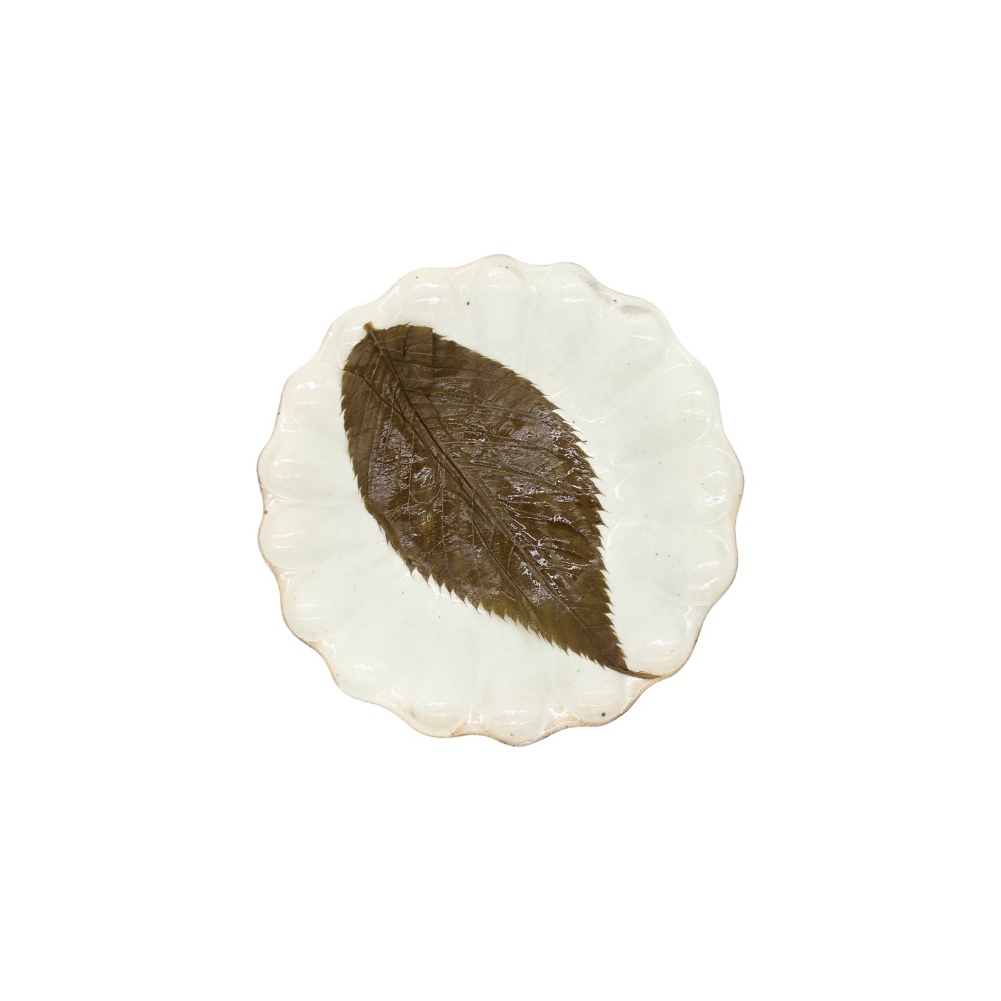 A scalloped white plate displays a single Salted Sakura Cherry Leaf from the 50 Leaves pack, highlighting the delicate cherry blossom elegance featured in traditional Japanese sweets.