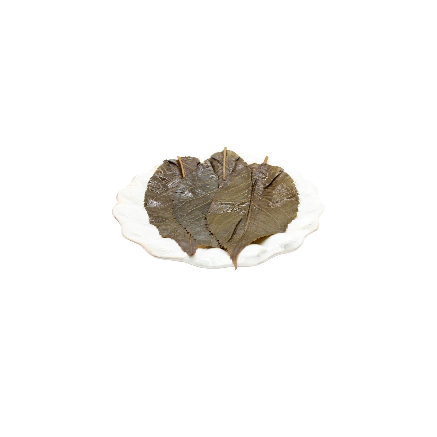 Three Salted Sakura Cherry Leaves from a pack of 50 are arranged on a white plate, set against a plain white background.