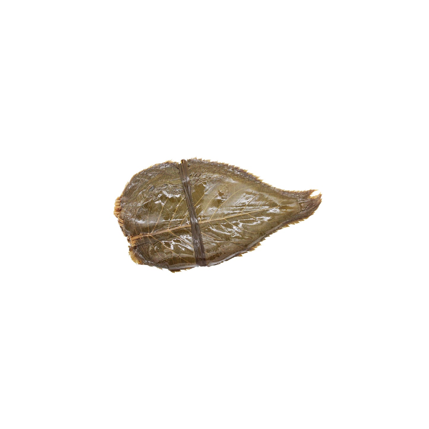 A single Salted Sakura Cherry Leaf from the 50 Leaves pack, with visible veins and a brown stem like those used in traditional Japanese sweets, is displayed on a plain white background.
