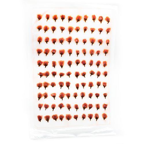 A clear plastic sheet displays multiple rows of Cherry Blossoms in Syrup - 100 flowers, each with reddish-brown petals, evoking the beauty of Hanami.