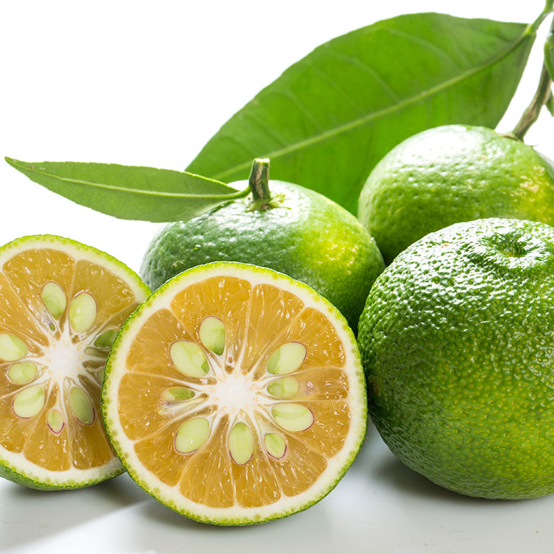Fresh Sudachi: three whole citrus fruits with bumpy green skin—one sliced to show its pale orange flesh and seeds—highlighted by a vibrant green leaf. A versatile citrus often featured in Japanese cuisine.