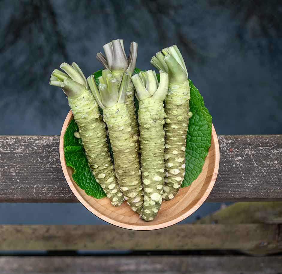 A wooden plate holds 500g of Fresh Japanese Wasabi rhizomes from Shizuoka, displayed on green leaves atop a weathered wooden surface.