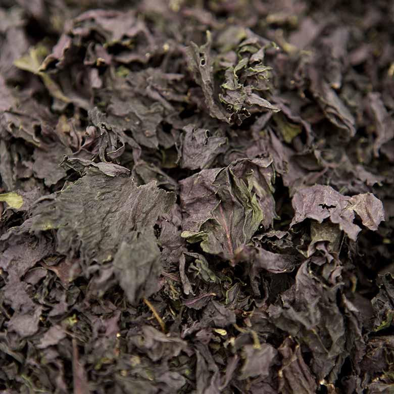 Close-up view of Purple Shiso Tea - 30g, featuring dried, dark green edible leaves prized for their calming effect and subtle flavor in delicately flavored tea blends.