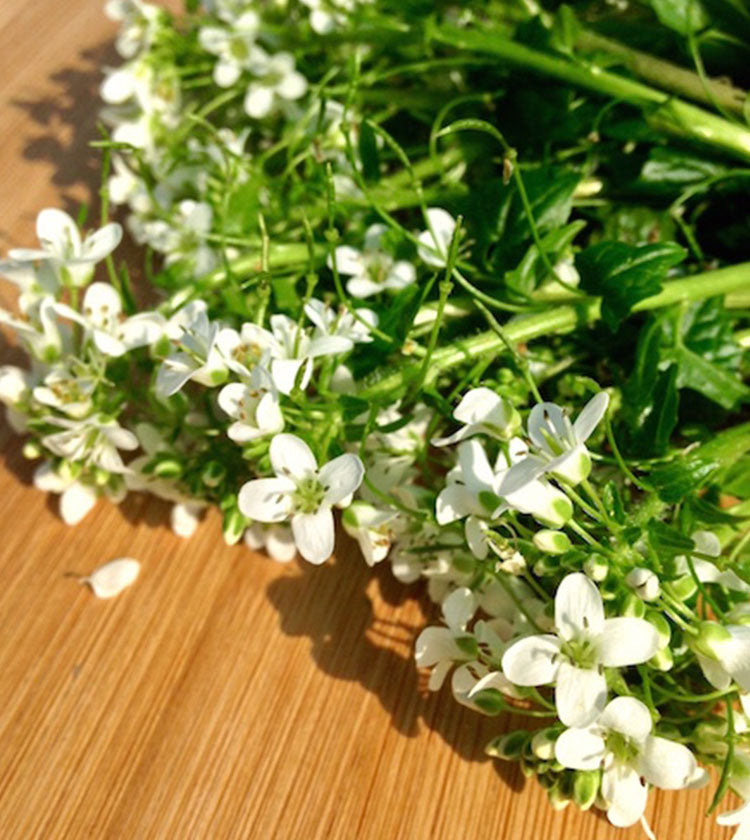 A close-up of Wasabi Flowers - 50g, featuring fresh, edible white stems arranged on a wooden surface.
