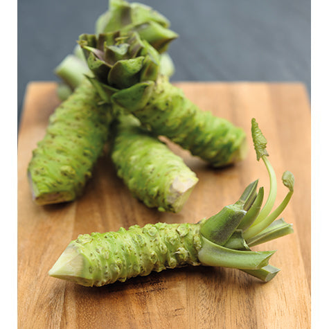 Three Individual Fresh English Wasabi Rhizomes with stems attached are displayed on a wooden cutting board, highlighting the vibrant quality and authenticity of English-grown wasabi.