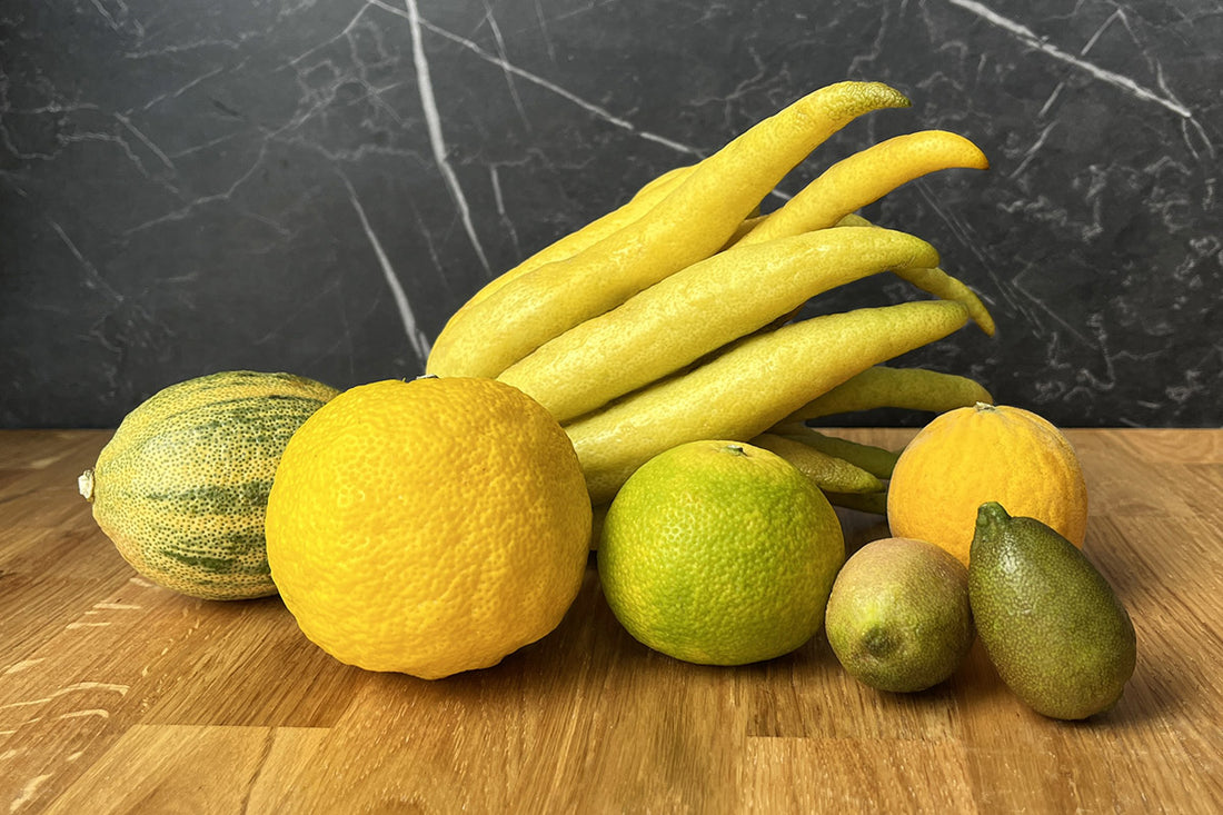 Fresh Citrus: Back In Stock | Journal | The Wasabi Co – The Wasabi Company