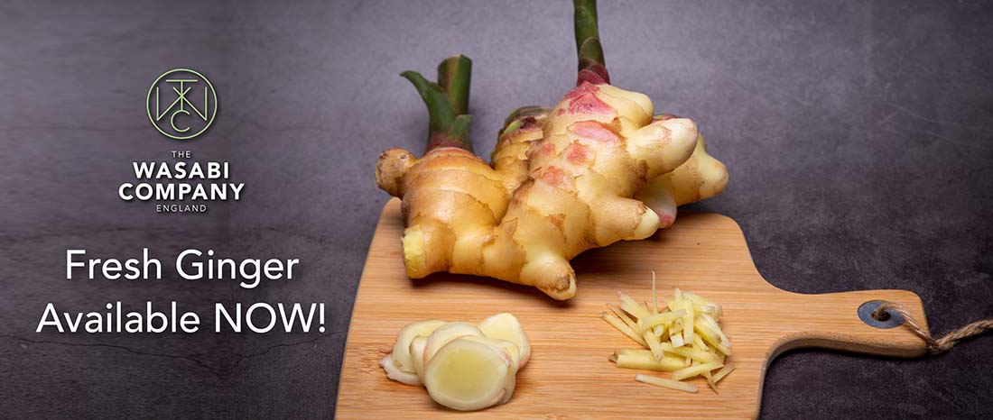New Fresh Ginger - Juicy & Fiery Available Now! | Journal | The Wasabi ...