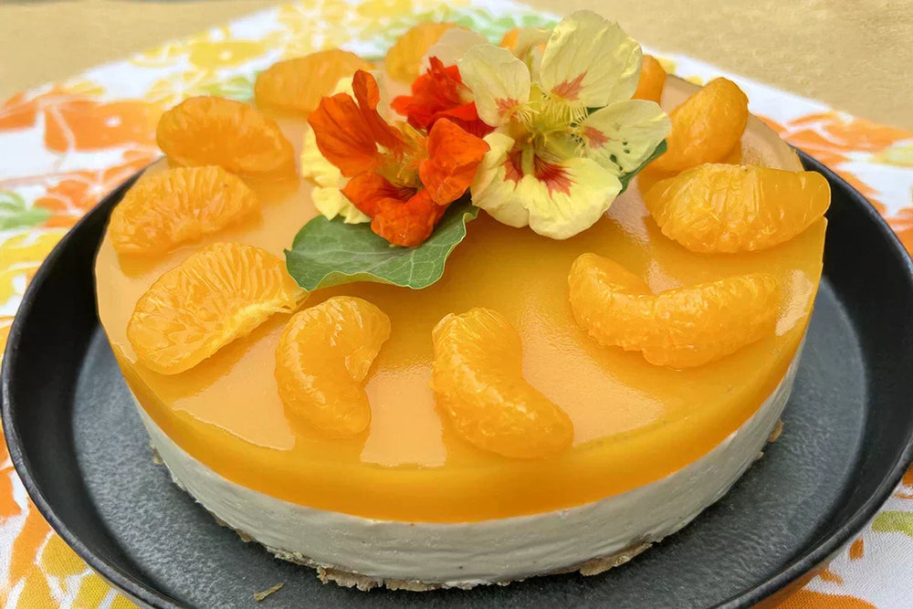Mikan Jelly Vegan Cheesecake