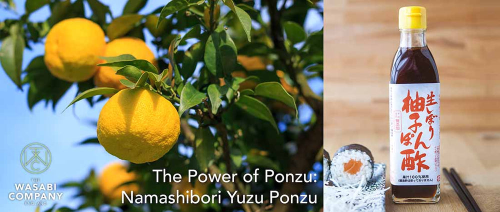 The Power of Ponzu: Namashibori Yuzu Ponzu