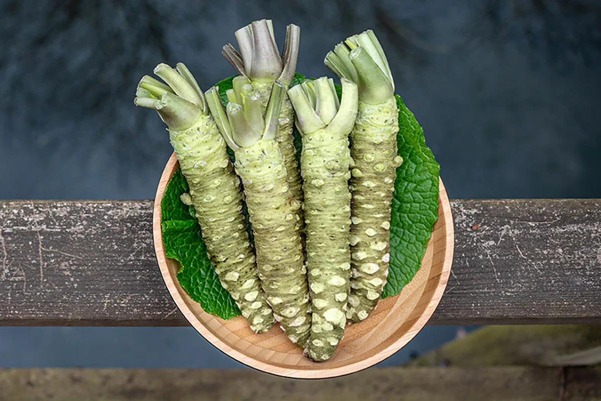 Real Wasabi vs Fake Wasabi: How to Tell the Difference | Journal – The ...