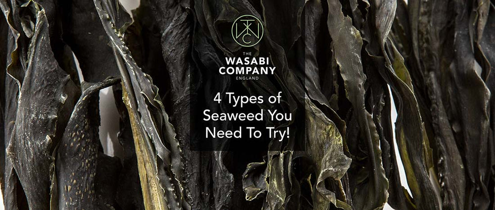 4 Types Of Seaweed & Why You Should Try Them
