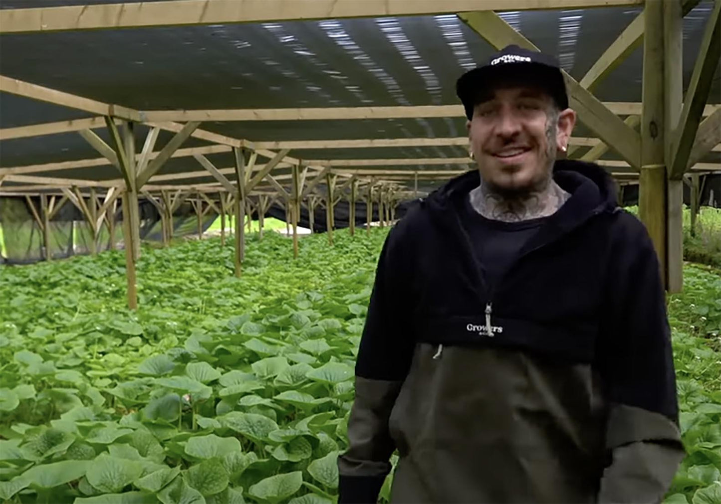 When @spicymoustache Visited The Wasabi Company