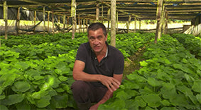 The Wasabi Company on "Love Your Weekend"