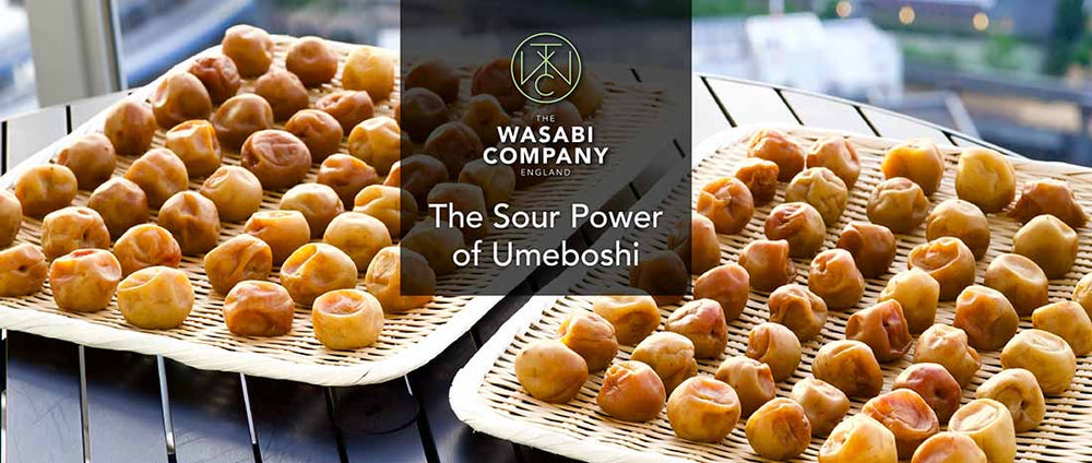 The Fruit With Maximum Sour Power: Umeboshi