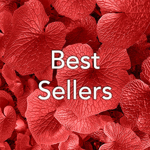 See our best sellers online at The Wasabi Company