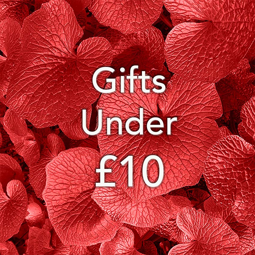 Gifts under £10