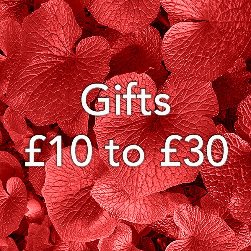 Gifts under £10