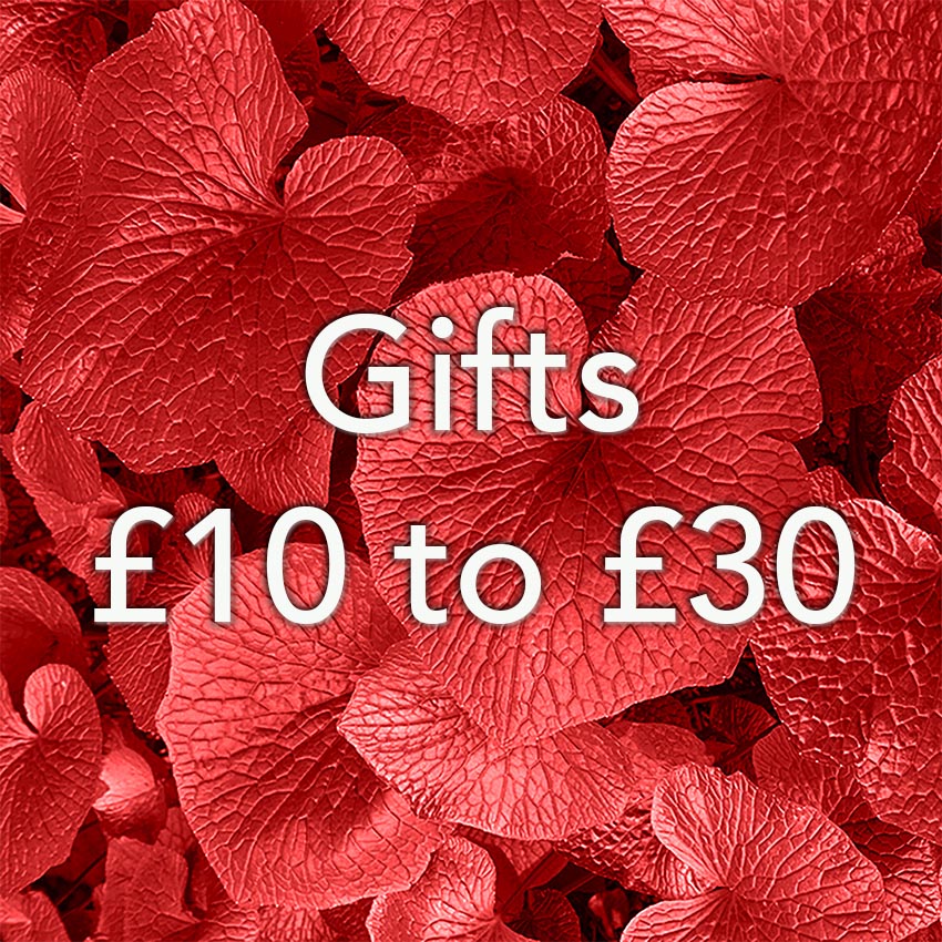 Christmas gifts for between £10 and £30