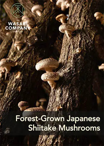 Forest Grown Organic Shiitake Mushrooms