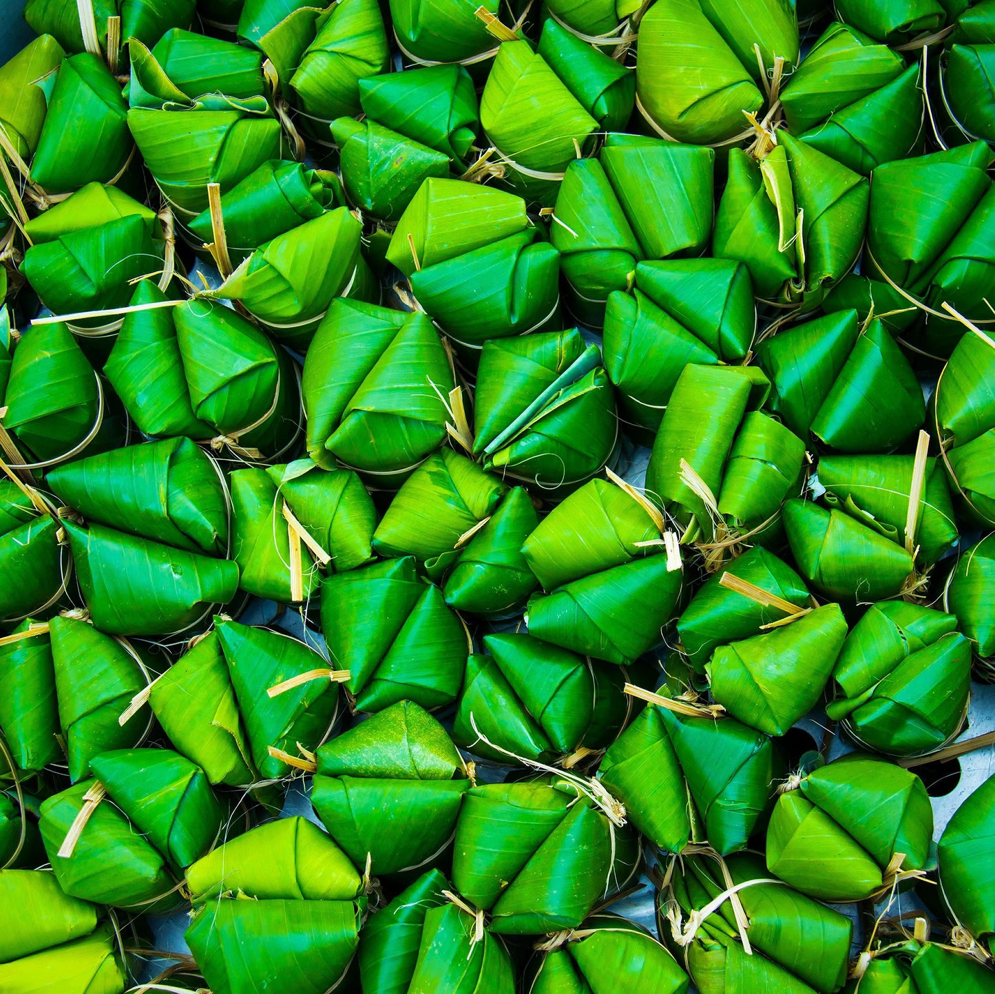
                  
                    Triangular packages of green leaves from the Japanese Hardy Banana Plant (Musa basjoo) are neatly folded and tied, arranged closely together as if prepared for a vibrant tropical feast.
                  
                