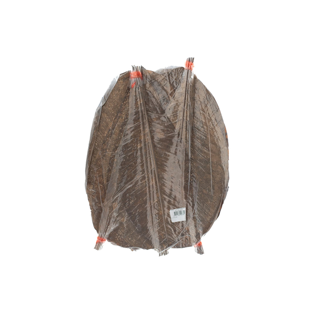 Dried Magnolia (Hoba) Leaves - 100 leaves
