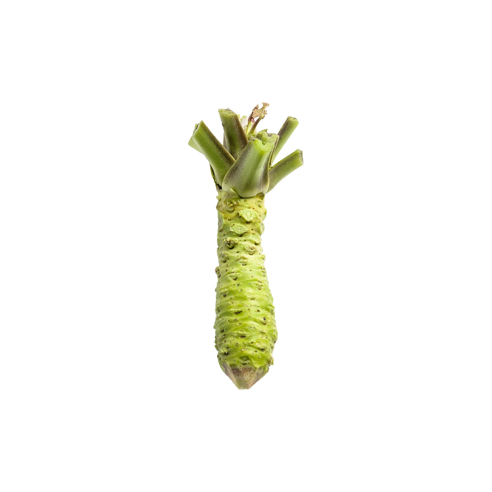 An Individual Fresh English Wasabi Rhizome with a rough green exterior is isolated on a white background, highlighting its authenticity.