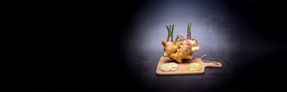 The Wasabi Company