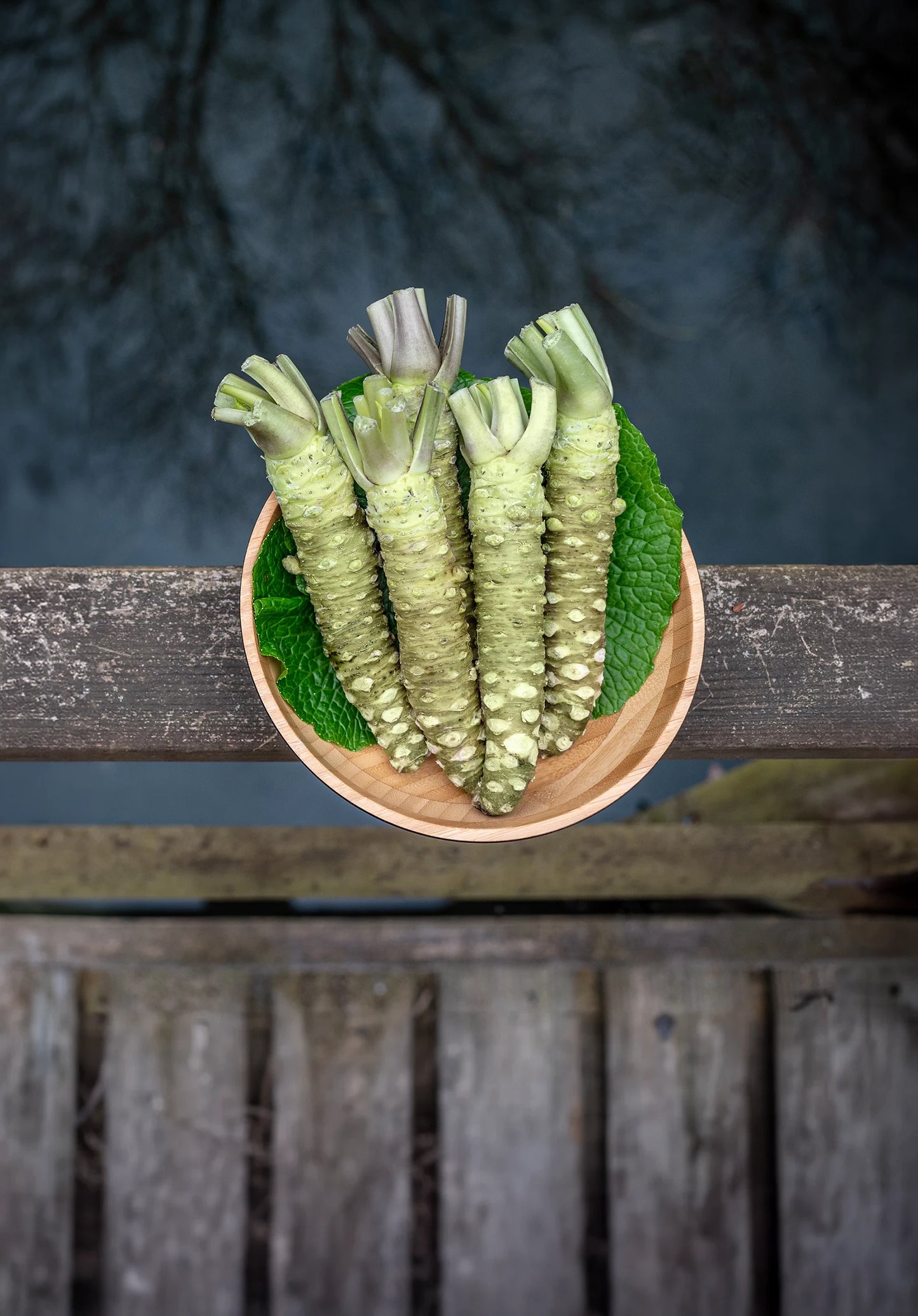 The Wasabi Company
