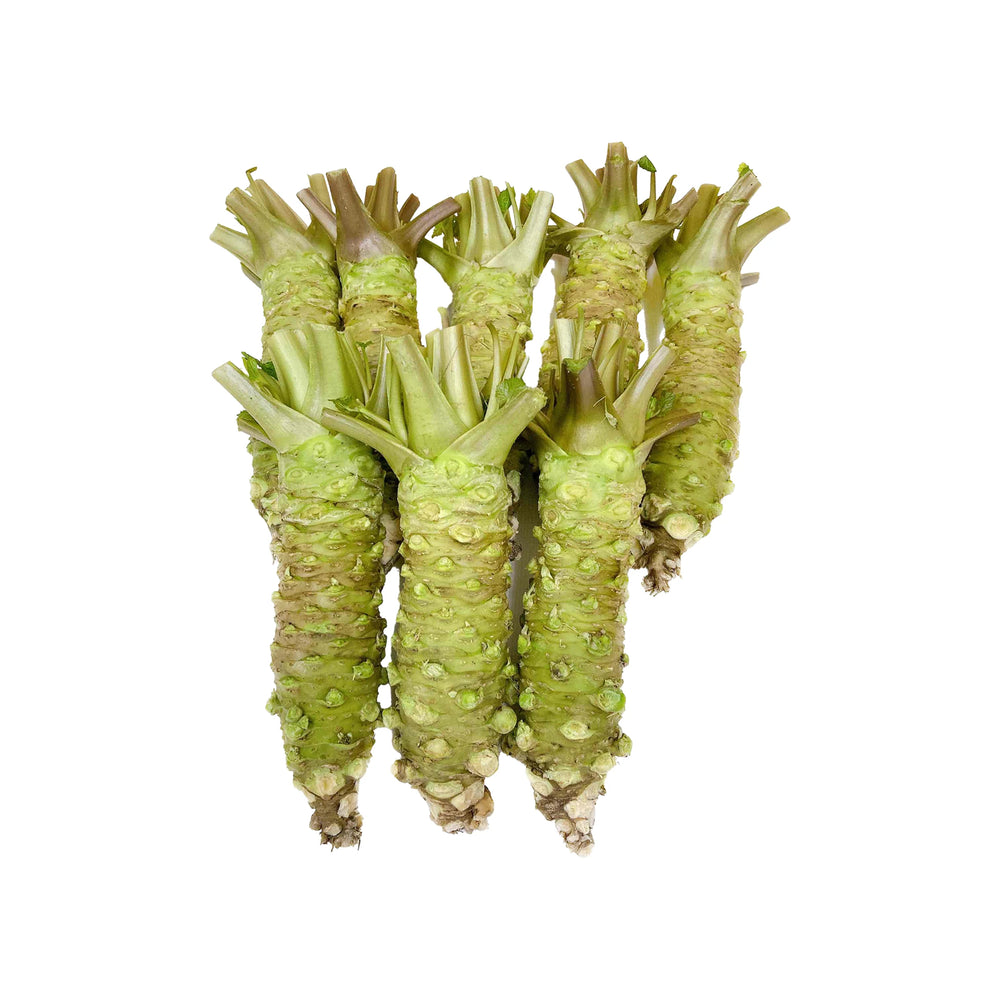 Several Fresh Japanese Wasabi - 1kg rhizomes with knobby green skin and leafy stems are closely arranged on a white background, highlighting the vibrant appearance of premium Japanese wasabi.