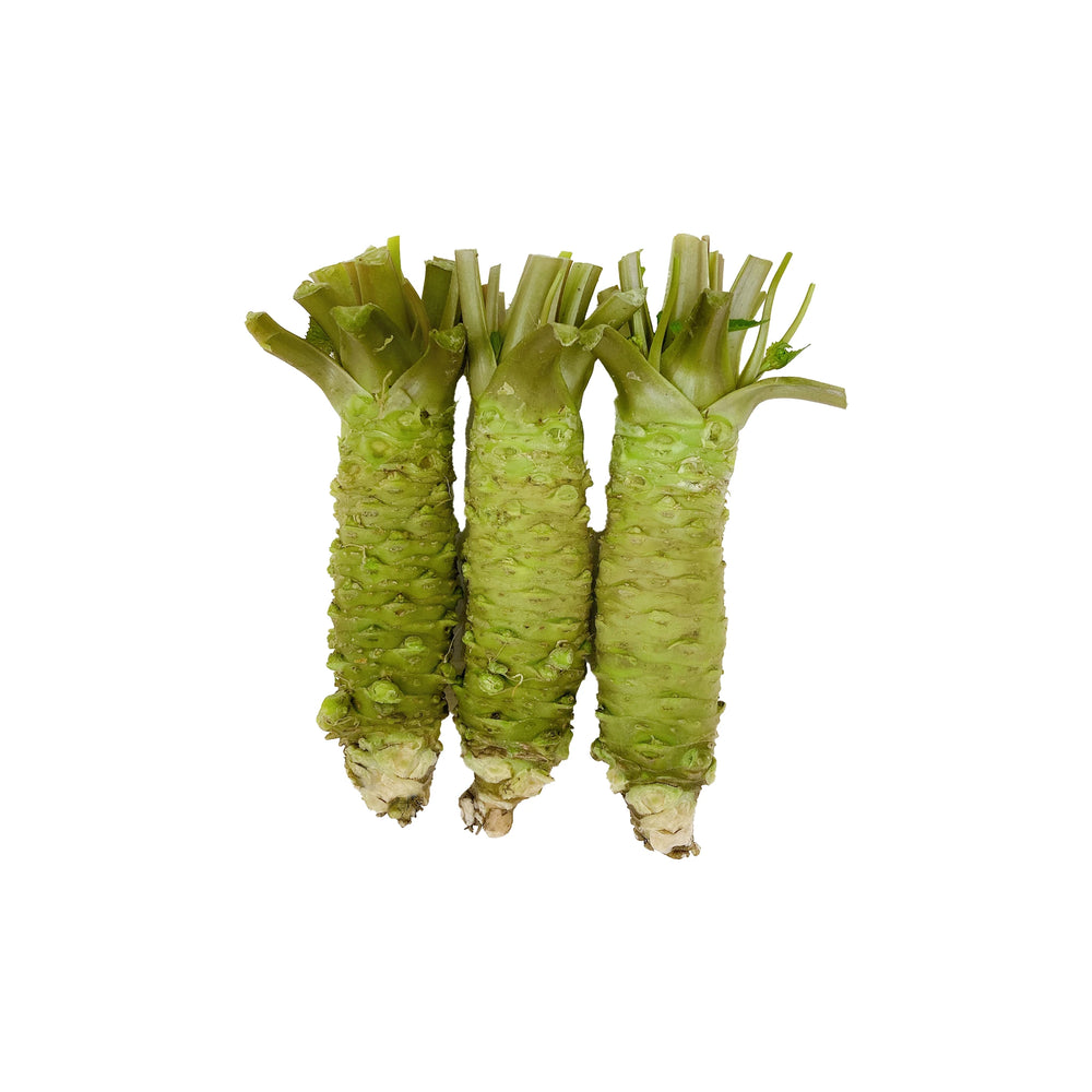 Three Fresh Japanese Wasabi - 250g rhizomes with green, bumpy skin and trimmed stems are arranged side by side on a white background.