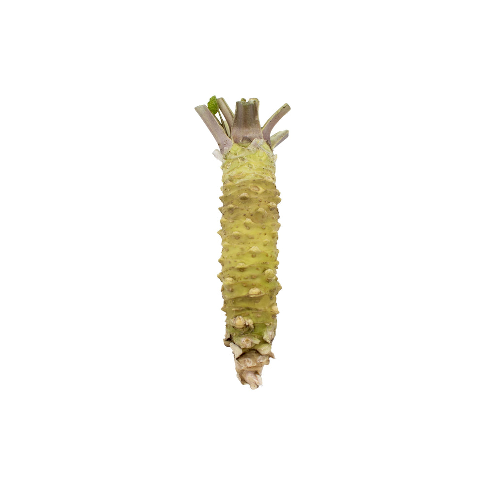 Individual Fresh Japanese Wasabi Rhizomes—authentic rhizomes with a bumpy green surface and trimmed stems, isolated on white. Prized for their vibrant flavor, these are the true choice for genuine Japanese wasabi experience.