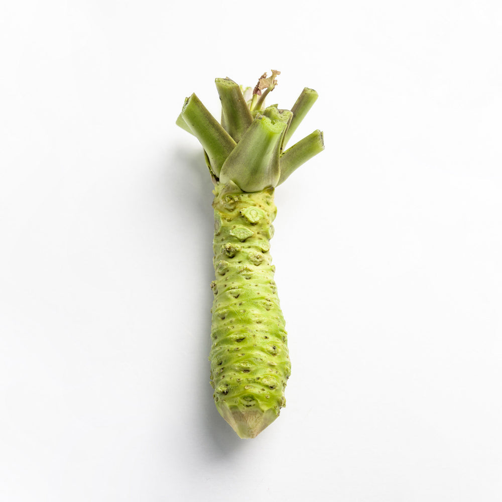 The Fresh English Wasabi Rhizome 100g for Bundle, featuring a green knobby surface and trimmed stems, is ideal for Wasabi Gift Kits and displayed on a plain white background.