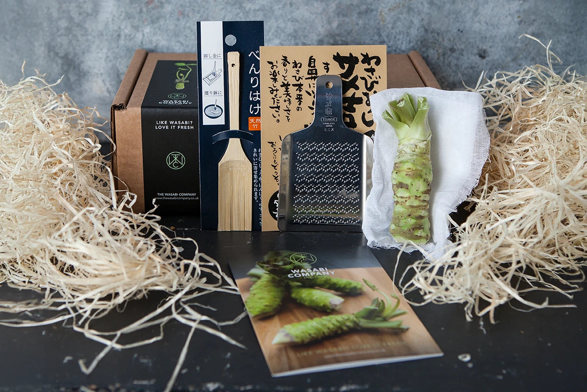 A wasabi root, graters, a wooden paddle, packaging, and a booklet are arranged on a dark surface with shredded packing material.