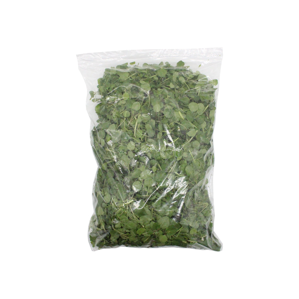 A 1kg bag of Fresh Young Watercress, packed with vibrant green leaves, sealed in clear plastic and set against a plain white background.