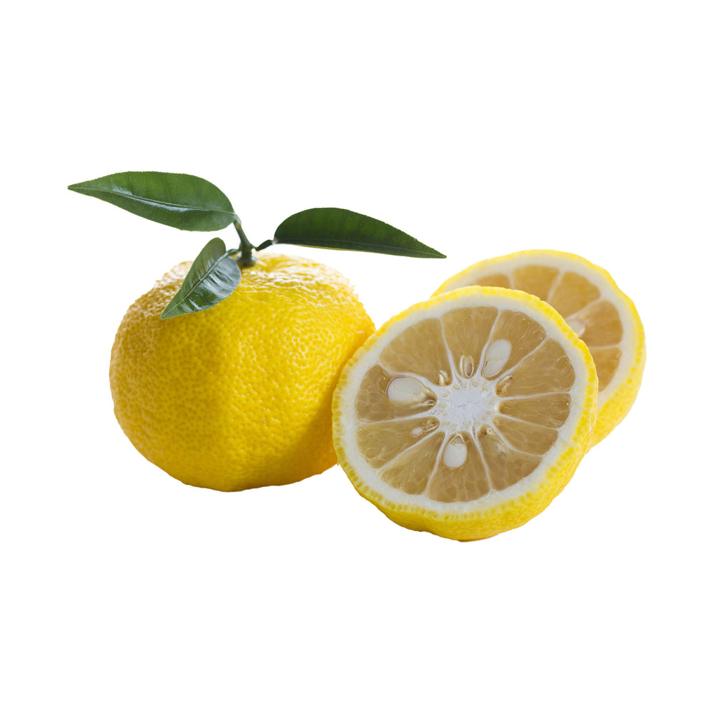 Fresh Yuzu with green leaves sits beside two Fresh Yuzu slices, highlighting the vibrant zest on a white background.