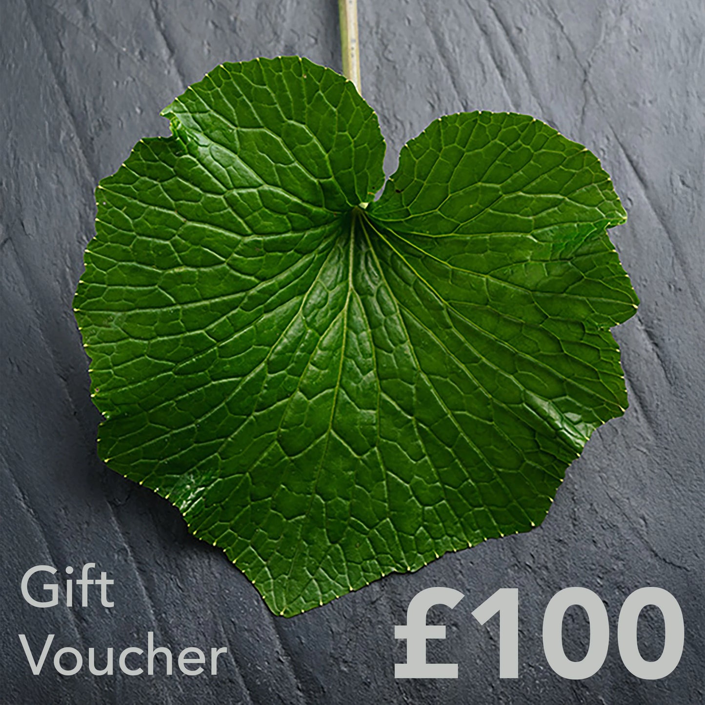 
                  
                    A large green leaf on a dark textured surface with Gift Voucher £100 in the corners—perfect as The Wasabi Company Gift Card, ideal for presents.
                  
                