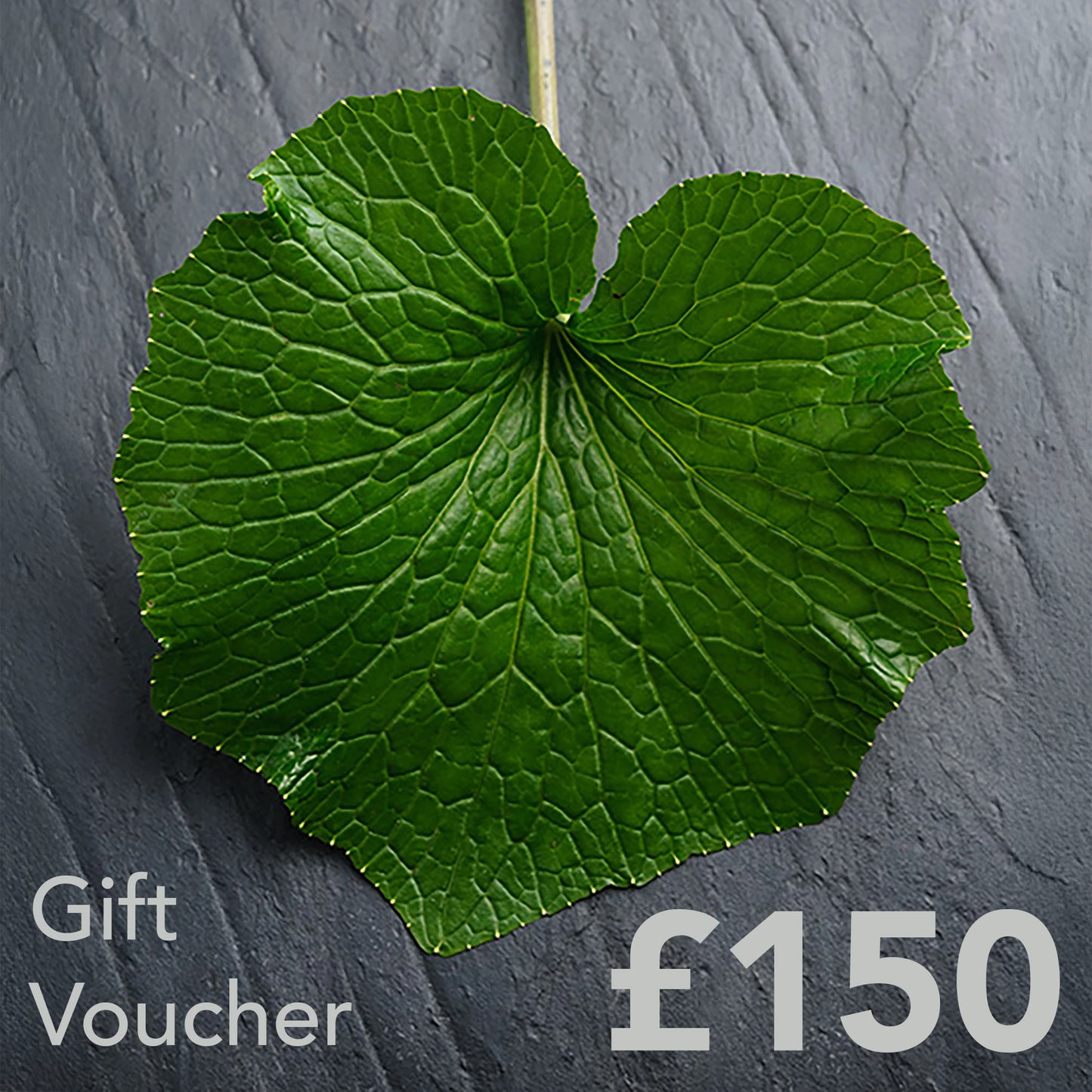 
                  
                    A large green leaf from The Wasabi Company rests on grey slate with “Gift Voucher £150” in the corner, making The Wasabi Company Gift Card a unique present.
                  
                