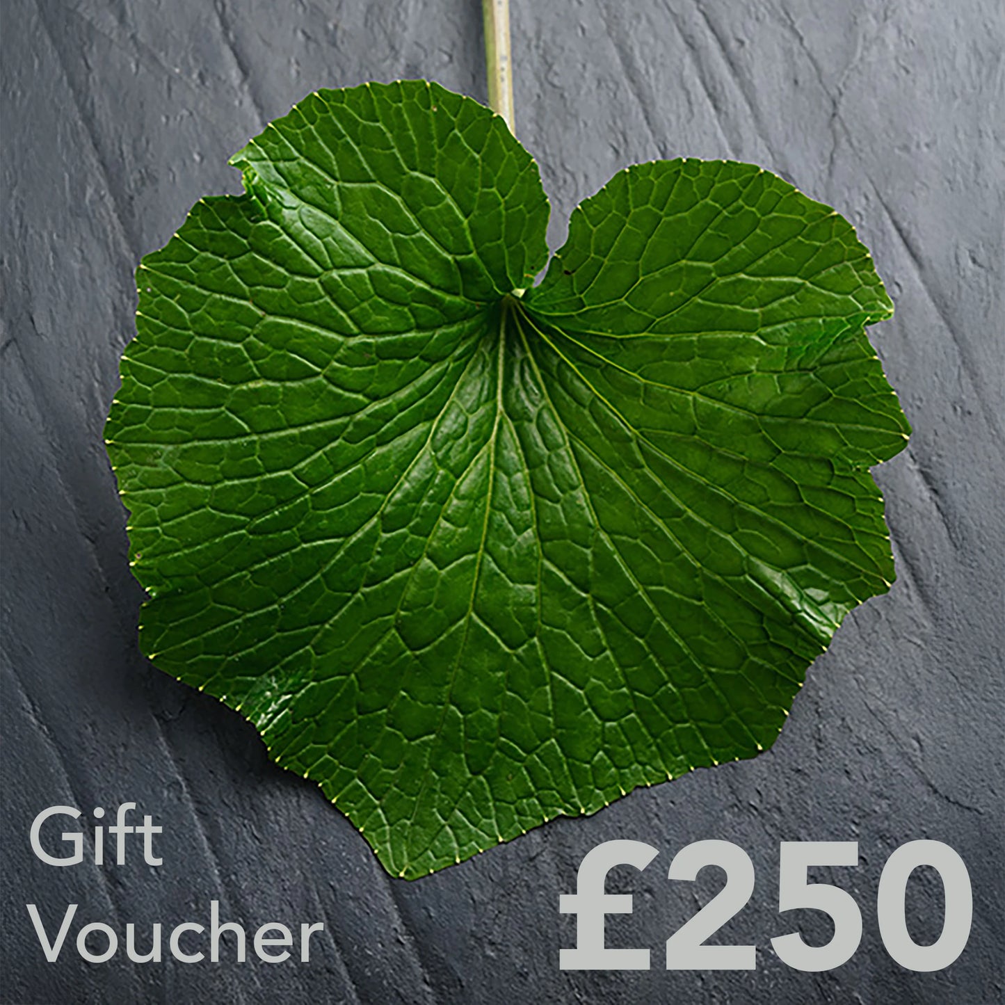 
                  
                    A large green leaf on a dark textured background with Gift Voucher £250 at the corners—The Wasabi Company Gift Card is the perfect present for someone special.
                  
                