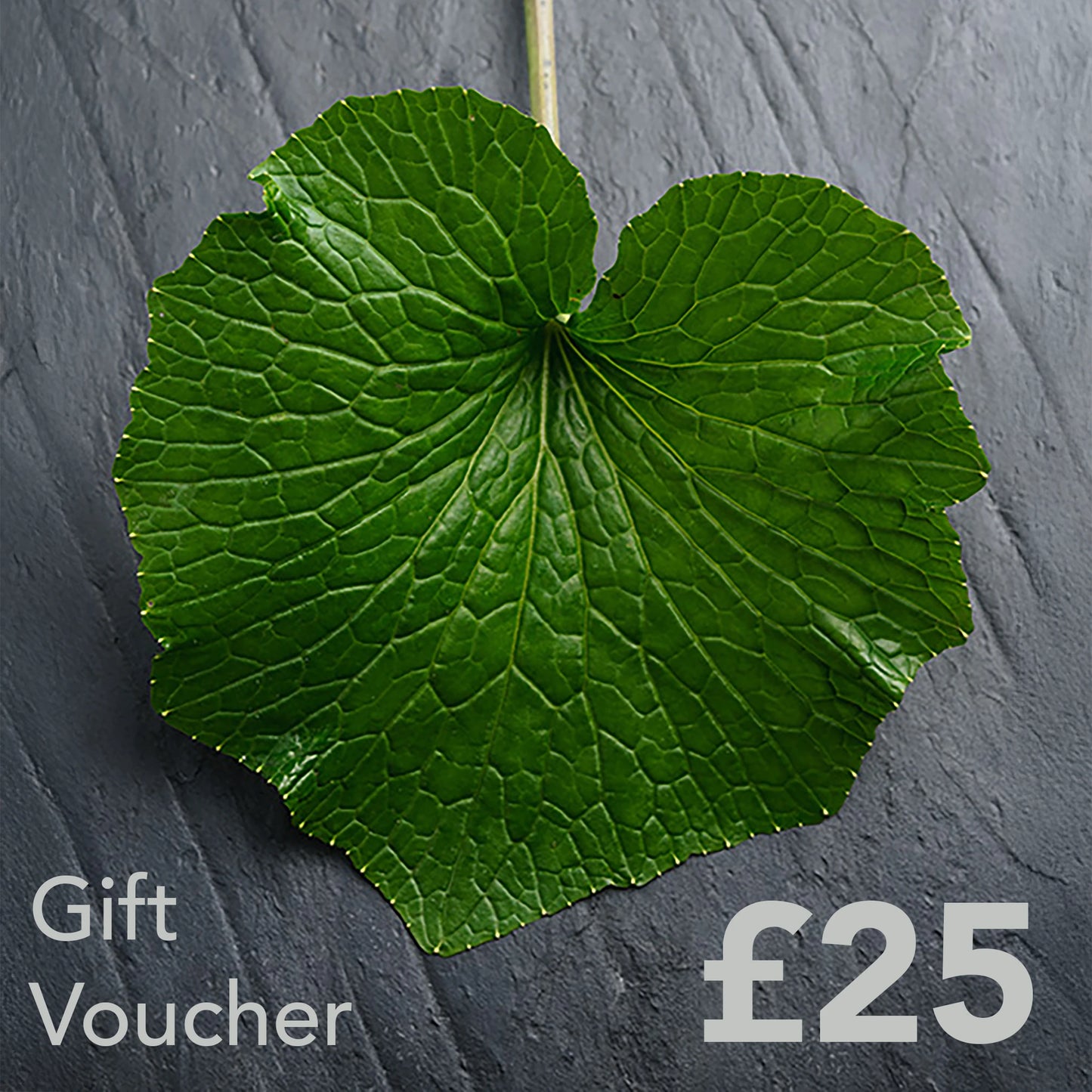 
                  
                    A green leaf on a grey slate background with The Wasabi Company Gift Card £25 in the bottom left corner—an ideal gift for any occasion.
                  
                