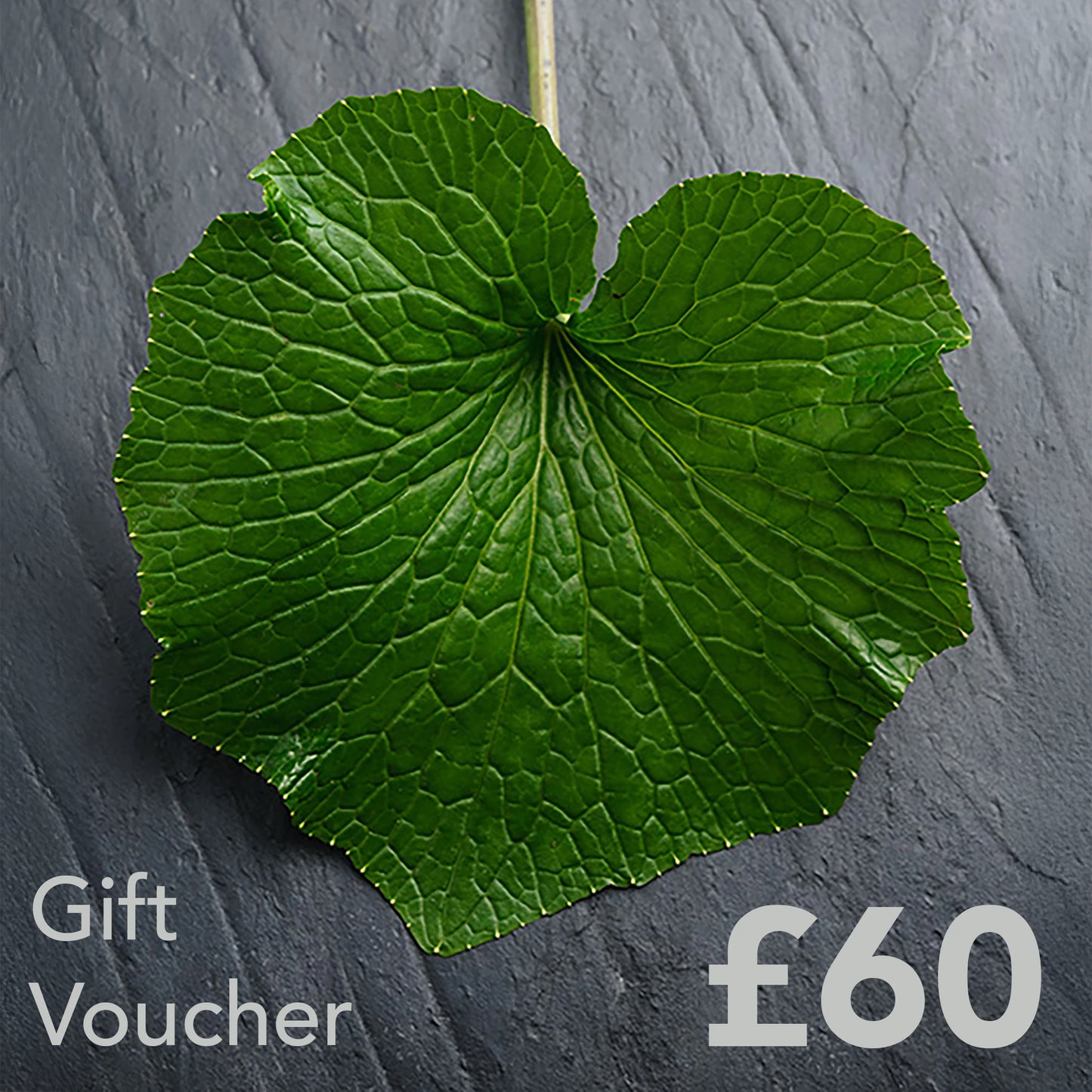 
                  
                    A large green leaf on a dark surface with Gift Voucher £60 in the corners, featuring The Wasabi Company Gift Card—ideal as a present or for gifting Wasabi Company products.
                  
                