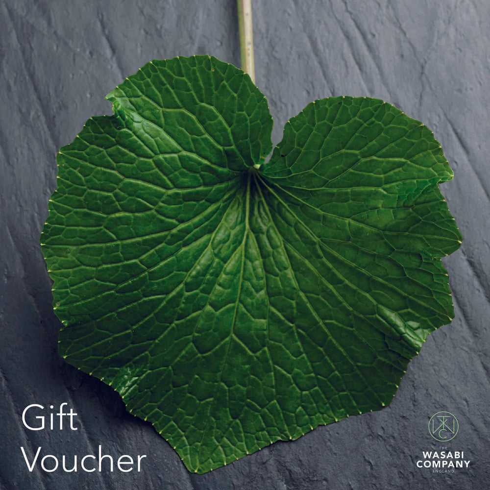 A large green leaf appears on a dark slate background with Gift Voucher at the bottom left and The Wasabi Company logo at the bottom right, making The Wasabi Company Gift Card a perfect present for any occasion.